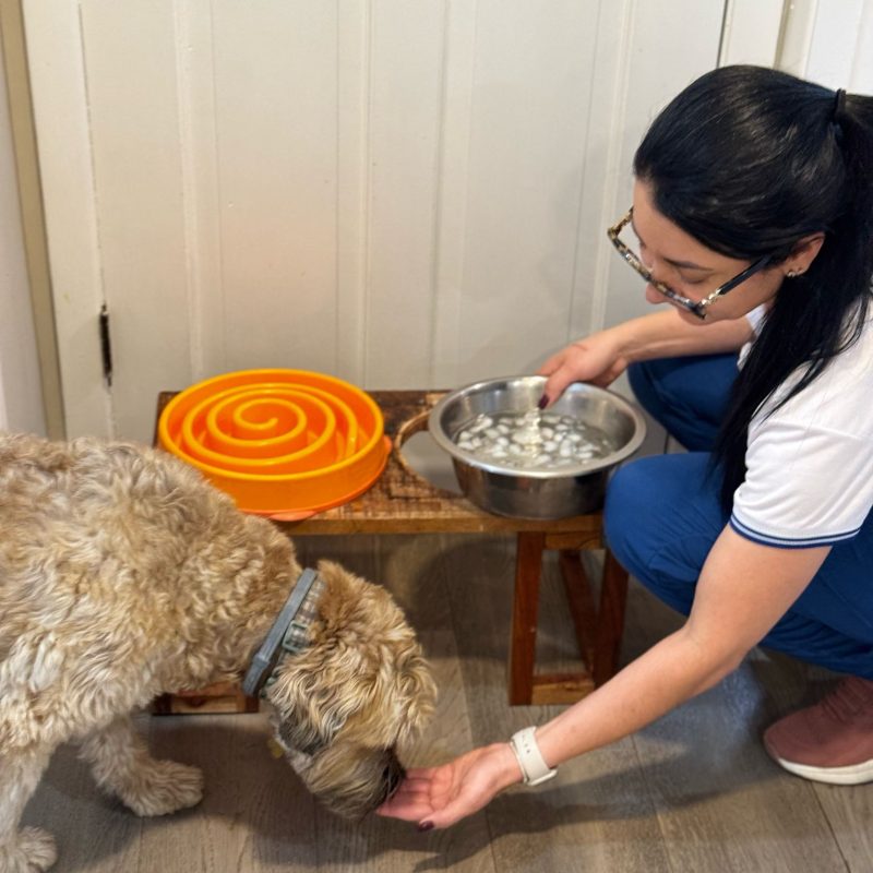 C&D Spotless Cleaning - Cleaning Services in Framingham MA